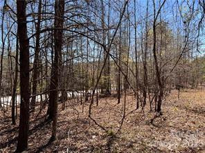 0000 Elliot Lane ##45 & 48 - Photo 7