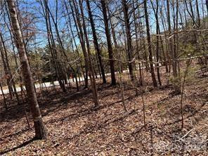 0000 Elliot Lane ##45 & 48 - Photo 10