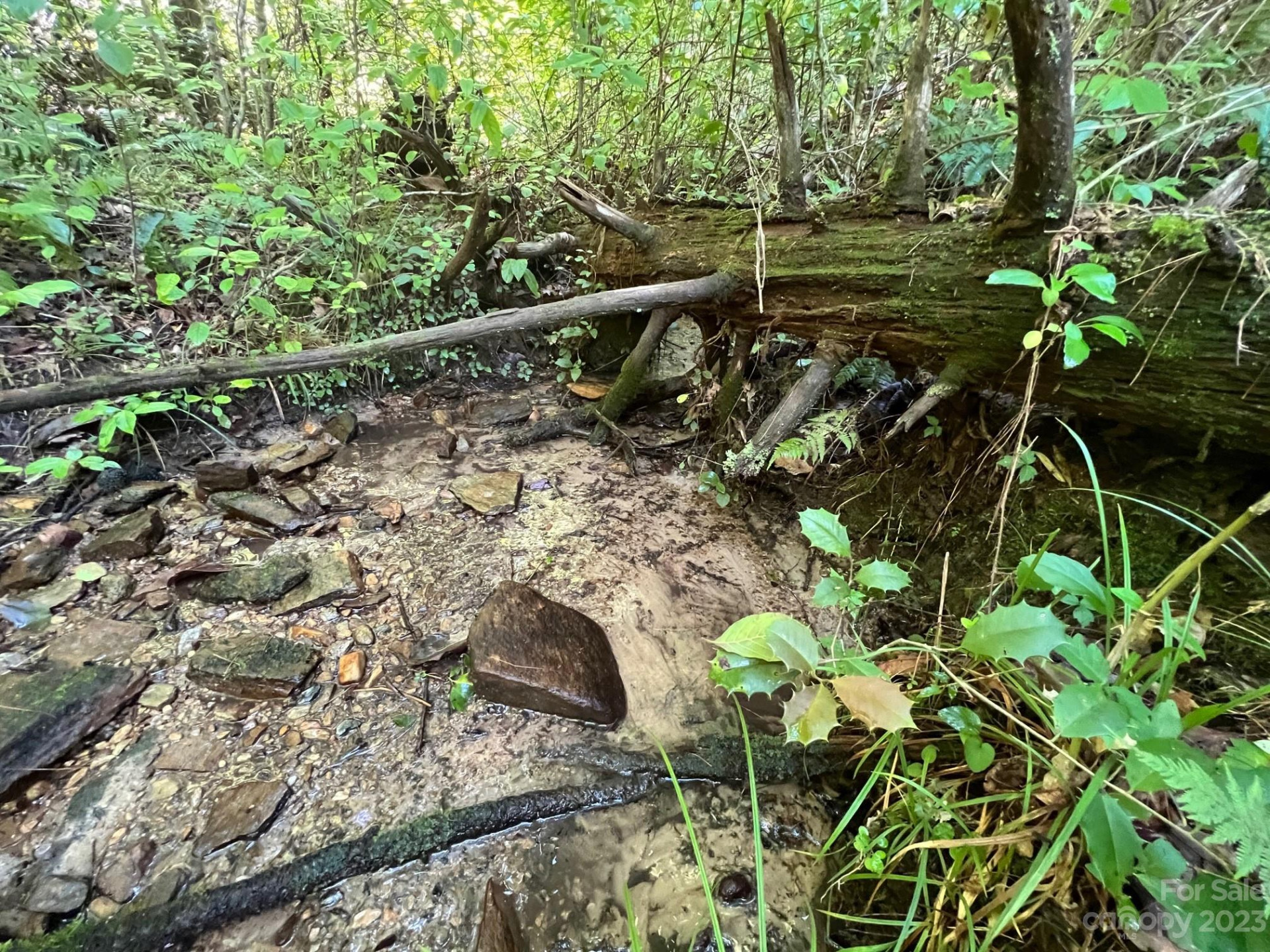 lot 24 Round Mountain Road #24 - Photo 2