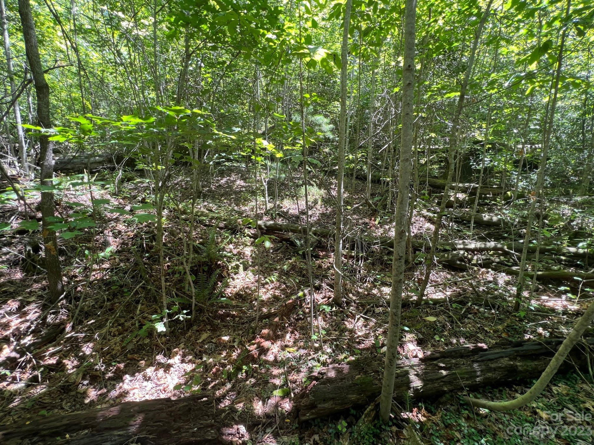 lot 24 Round Mountain Road #24 - Photo 11