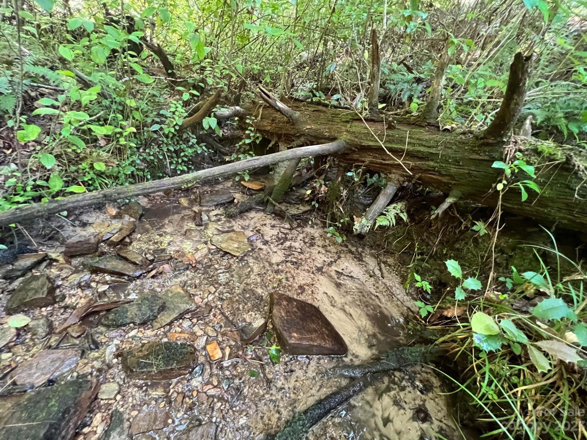 lot 24 Round Mountain Road #24 - Photo 13