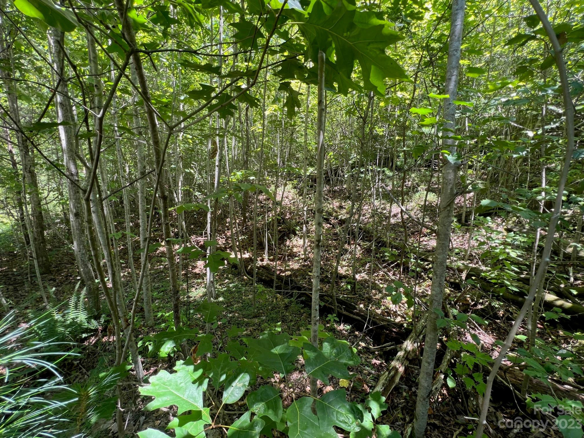 lot 24 Round Mountain Road #24 - Photo 4