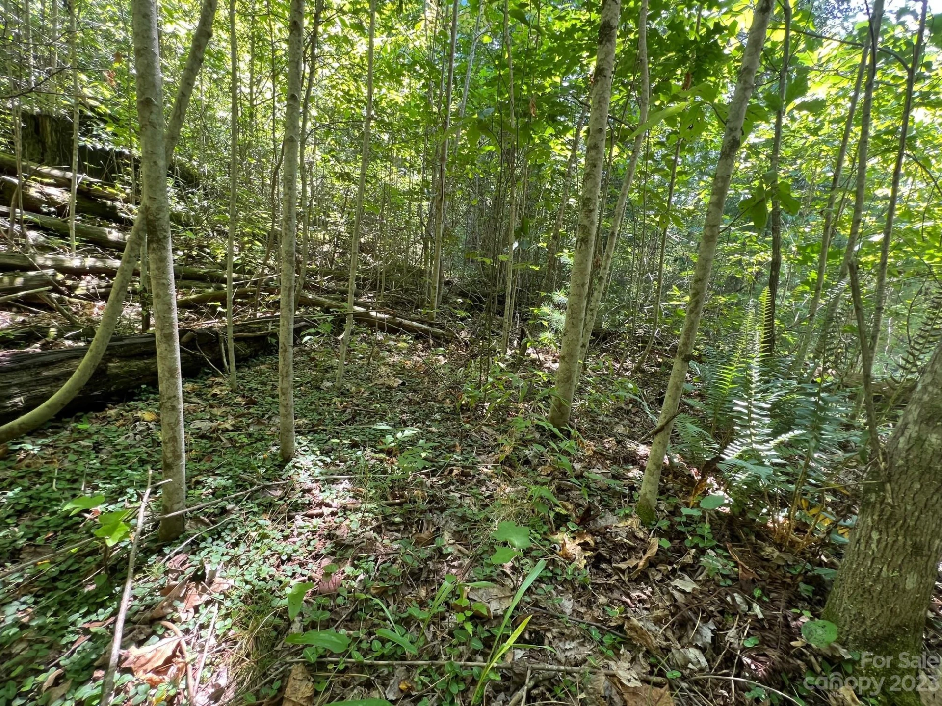 lot 24 Round Mountain Road #24 - Photo 6