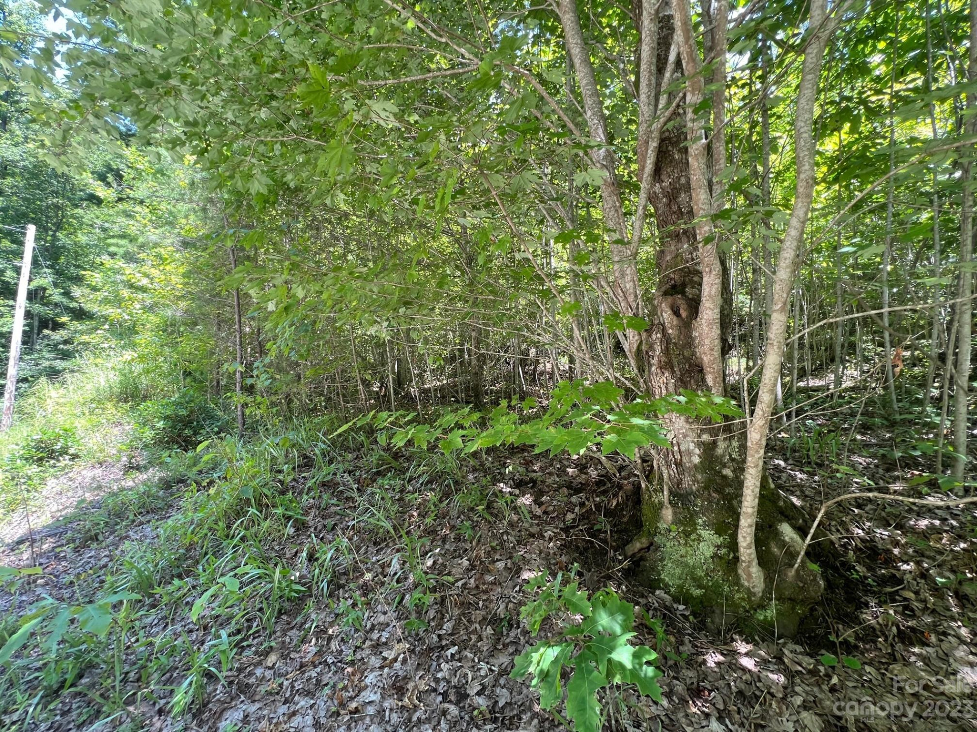 lot 24 Round Mountain Road #24 - Photo 8