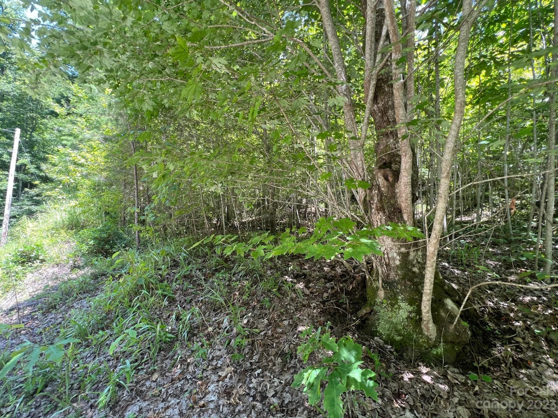 lot 24 Round Mountain Road #24 - Photo 8