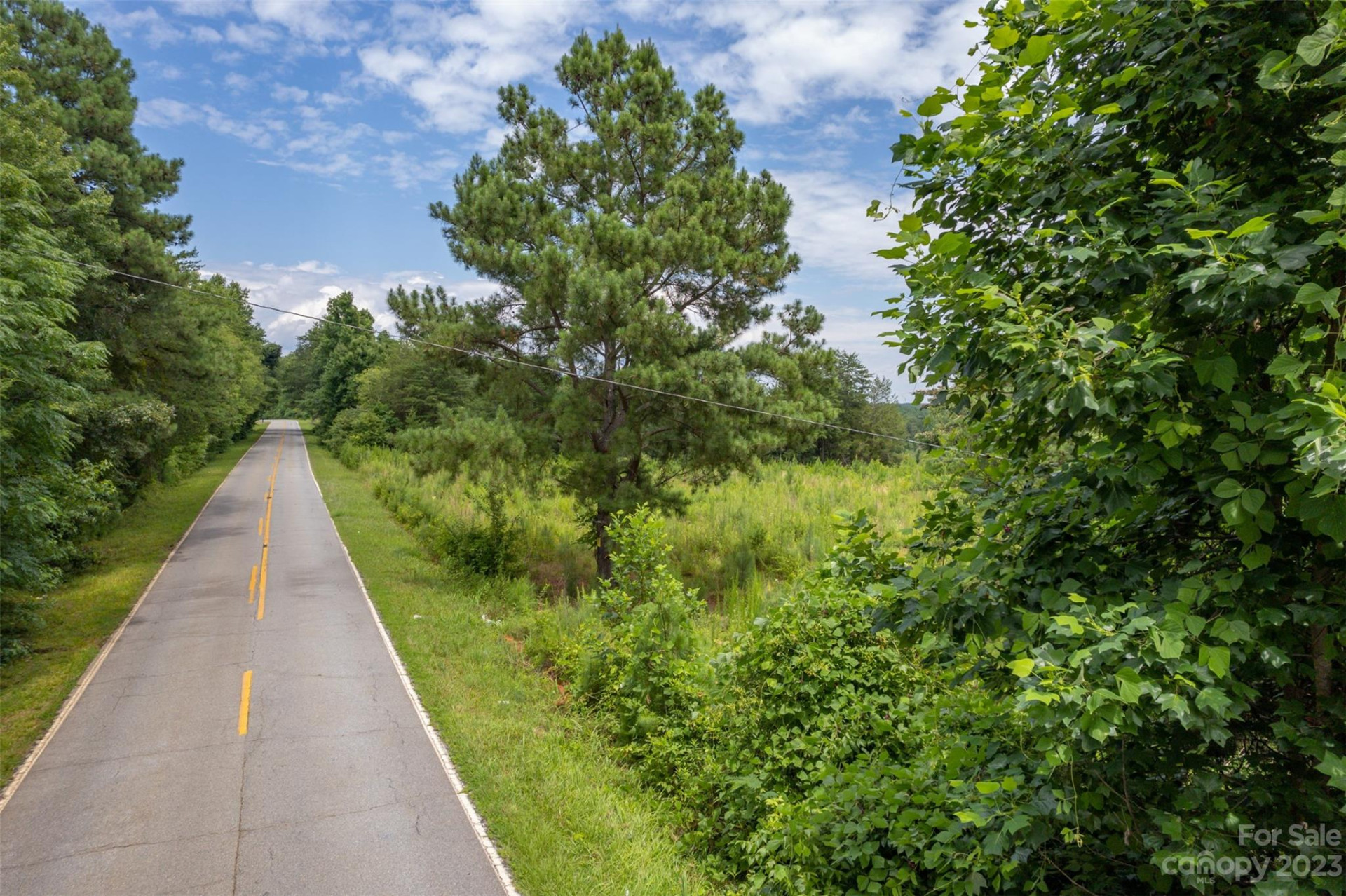 00 Horn Bottom Road - Photo 2