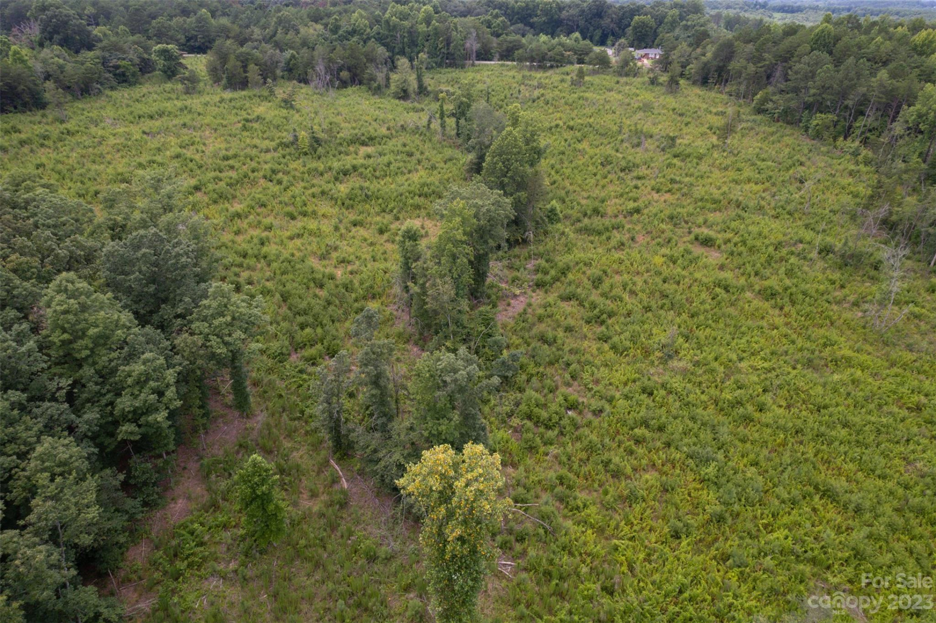 00 Horn Bottom Road - Photo 11