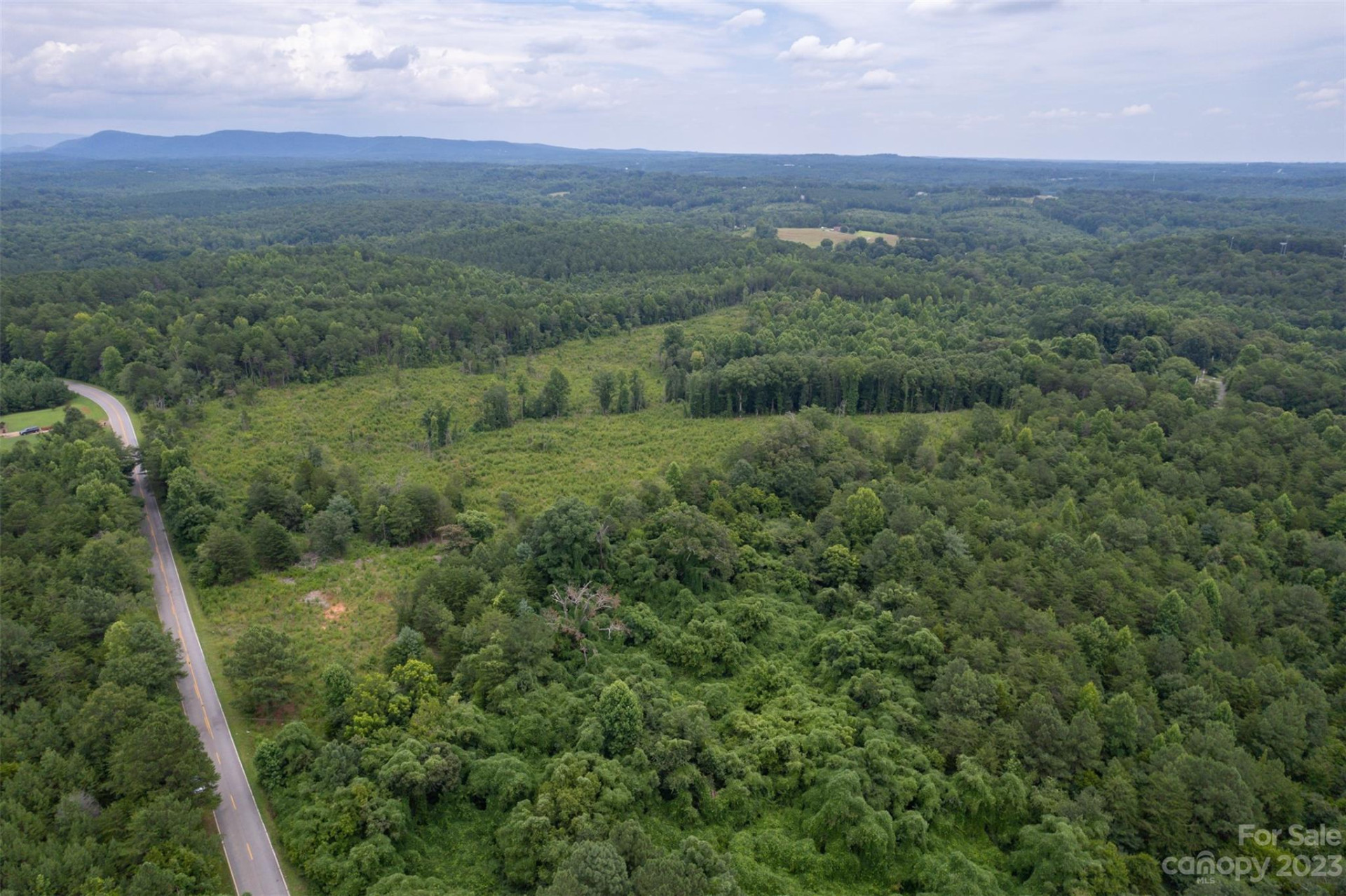 00 Horn Bottom Road - Photo 12
