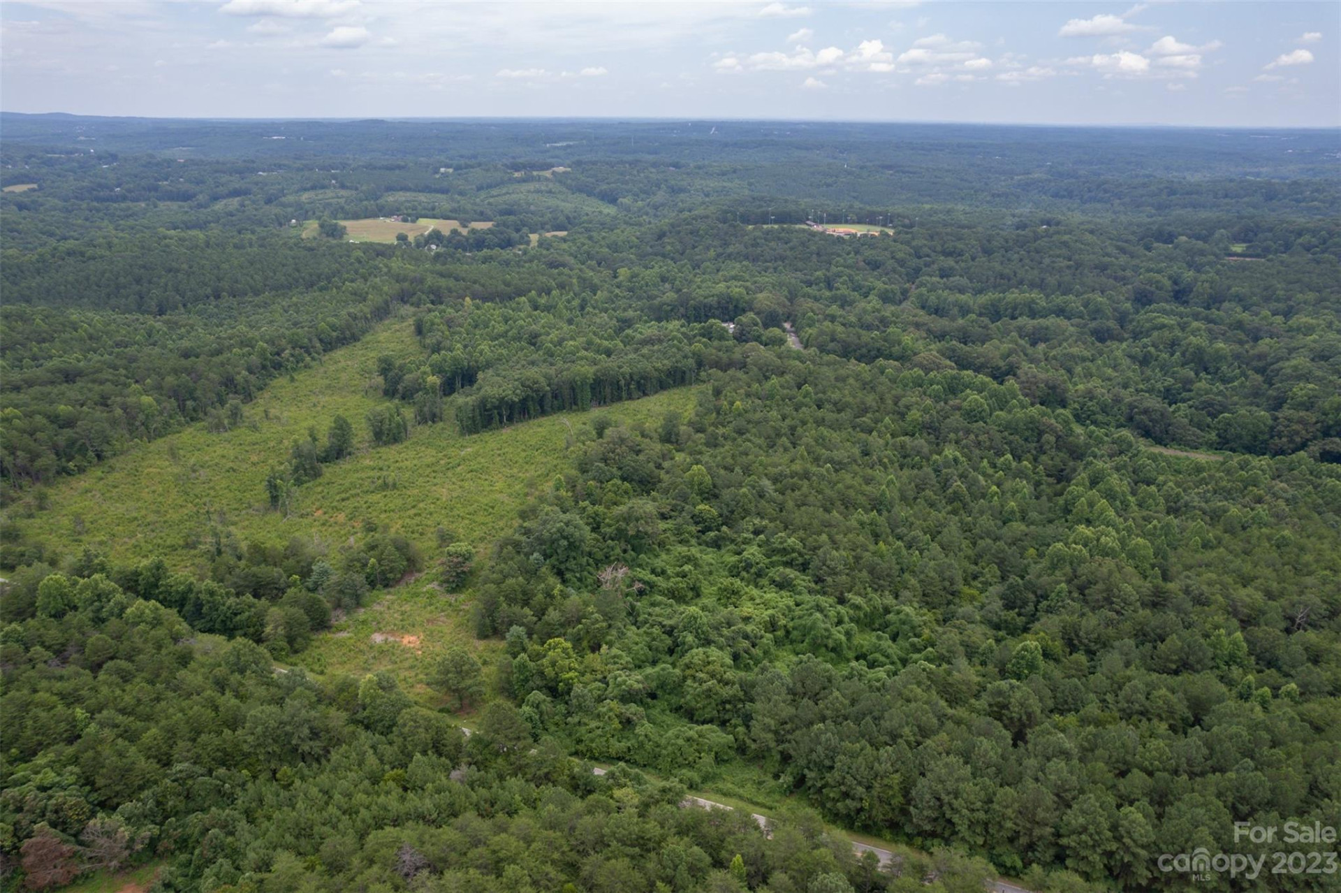 00 Horn Bottom Road - Photo 15