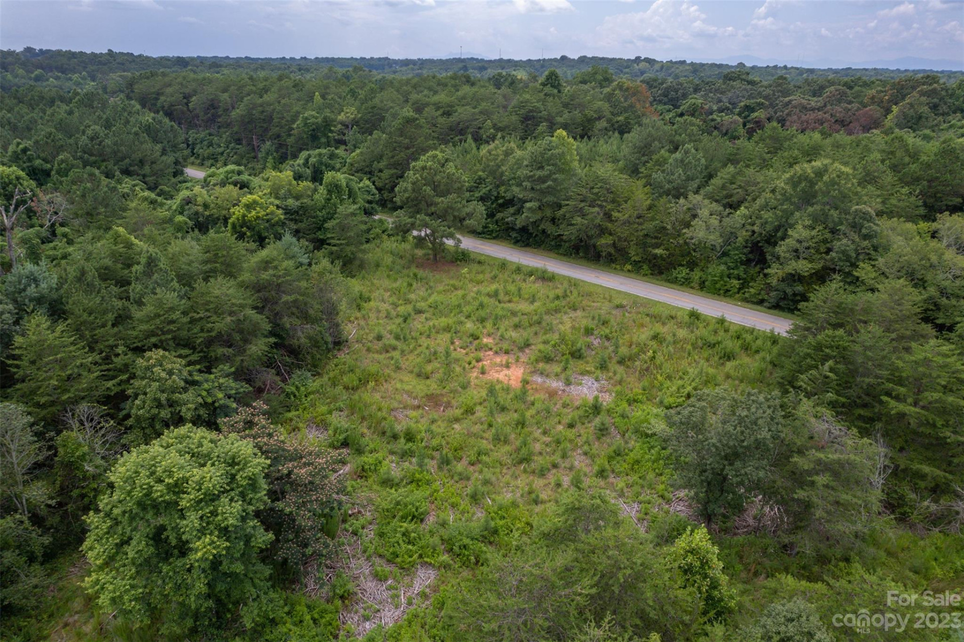 00 Horn Bottom Road - Photo 17