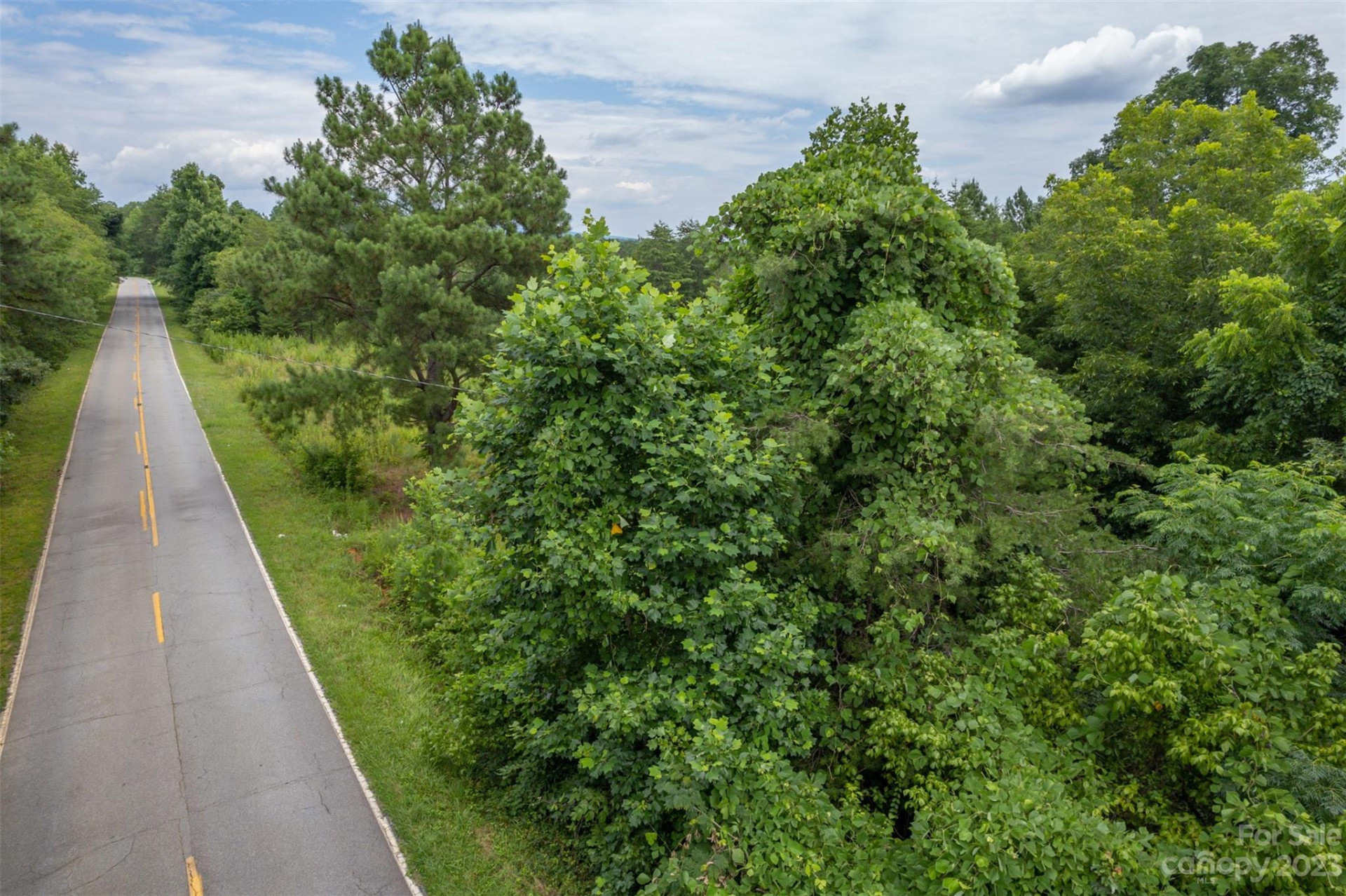 00 Horn Bottom Road - Photo 3
