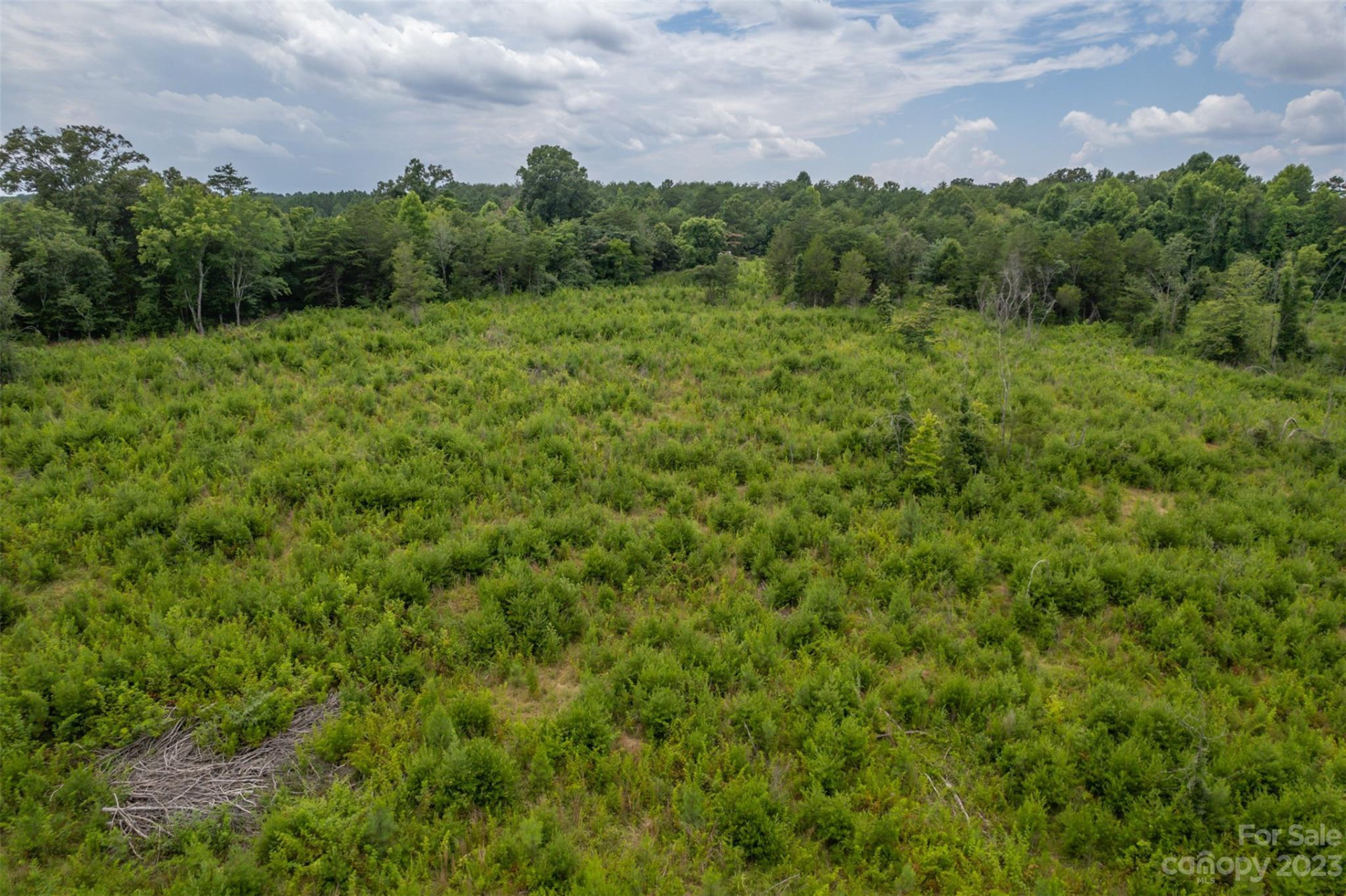 00 Horn Bottom Road - Photo 4