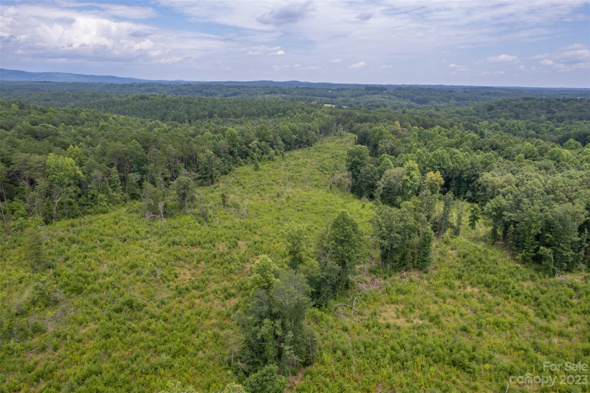 00 Horn Bottom Road - Photo 5
