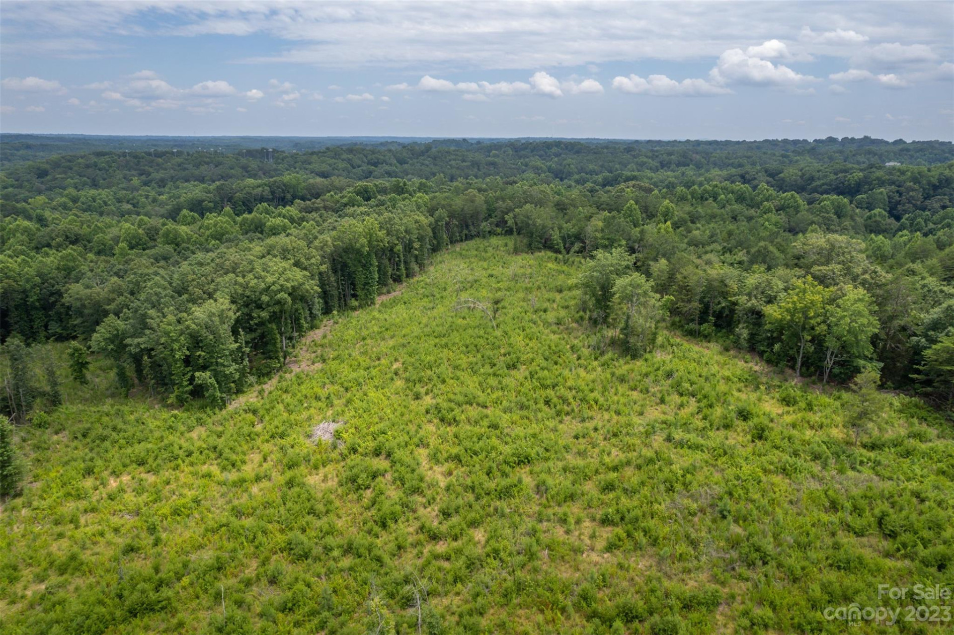 00 Horn Bottom Road - Photo 6