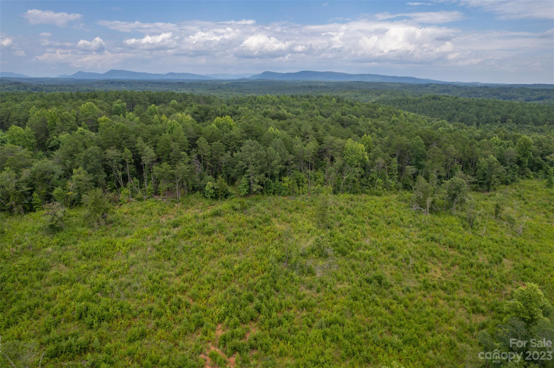 00 Horn Bottom Road - Photo 7