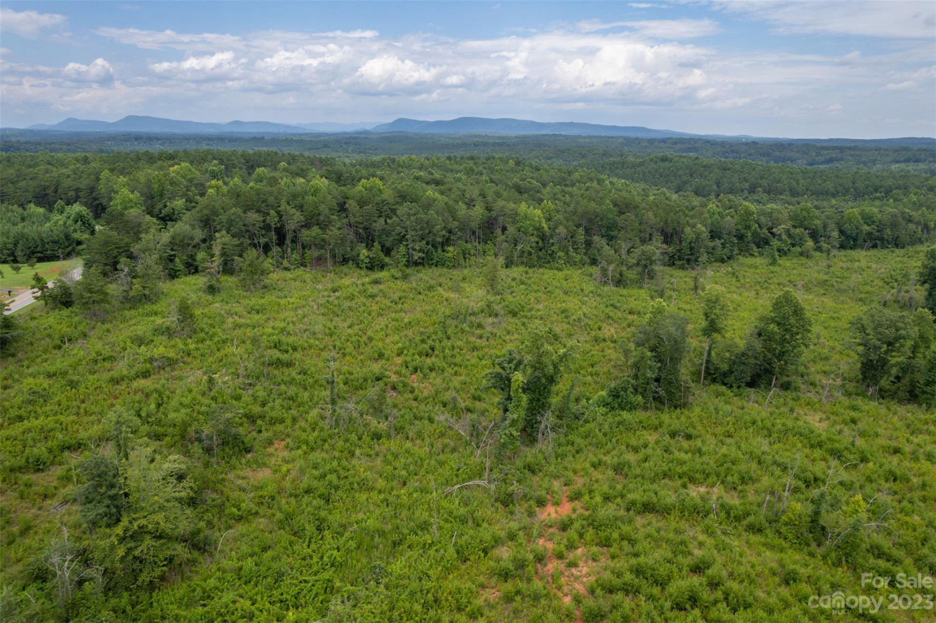 00 Horn Bottom Road - Photo 8