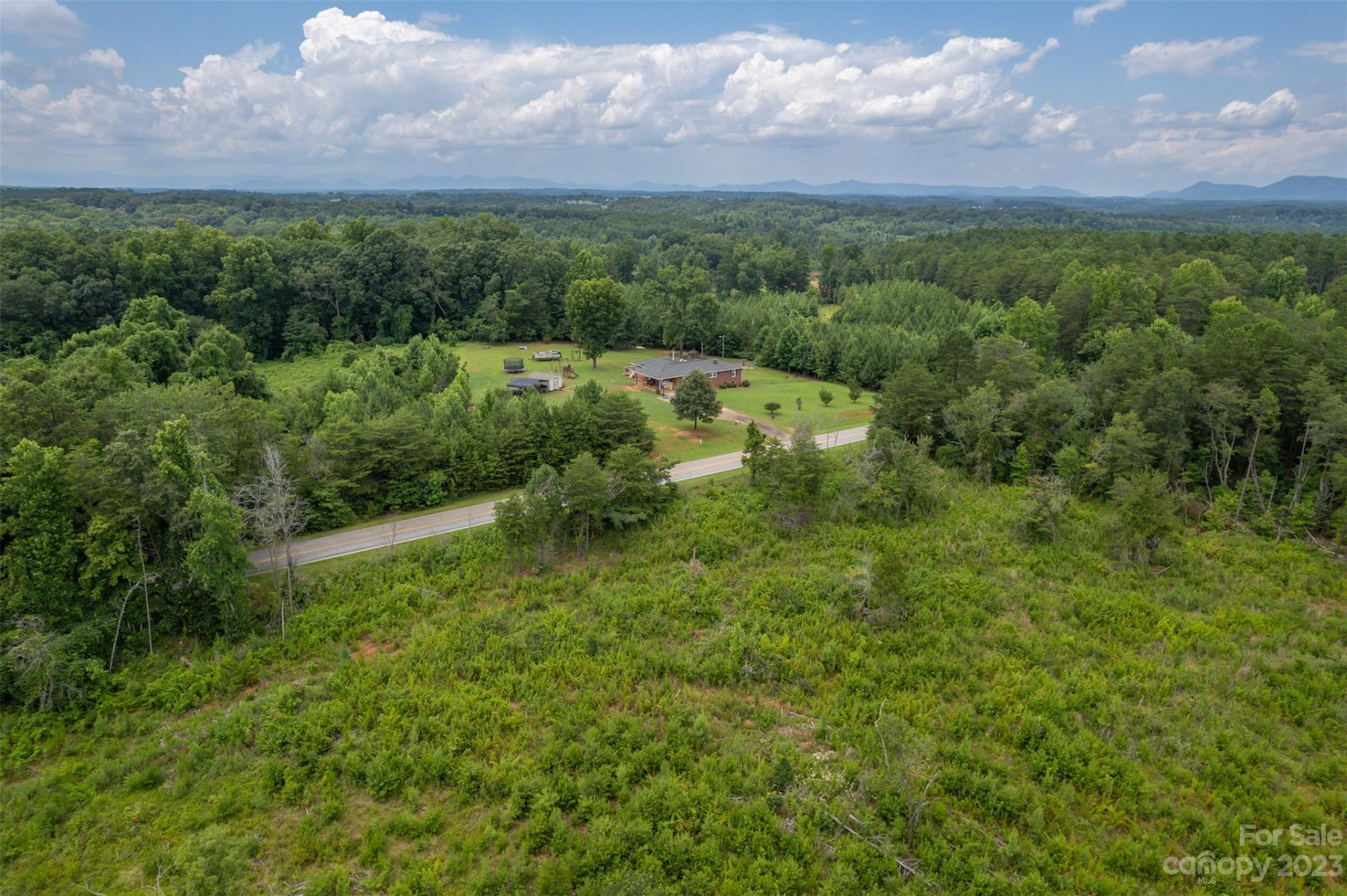 00 Horn Bottom Road - Photo 9