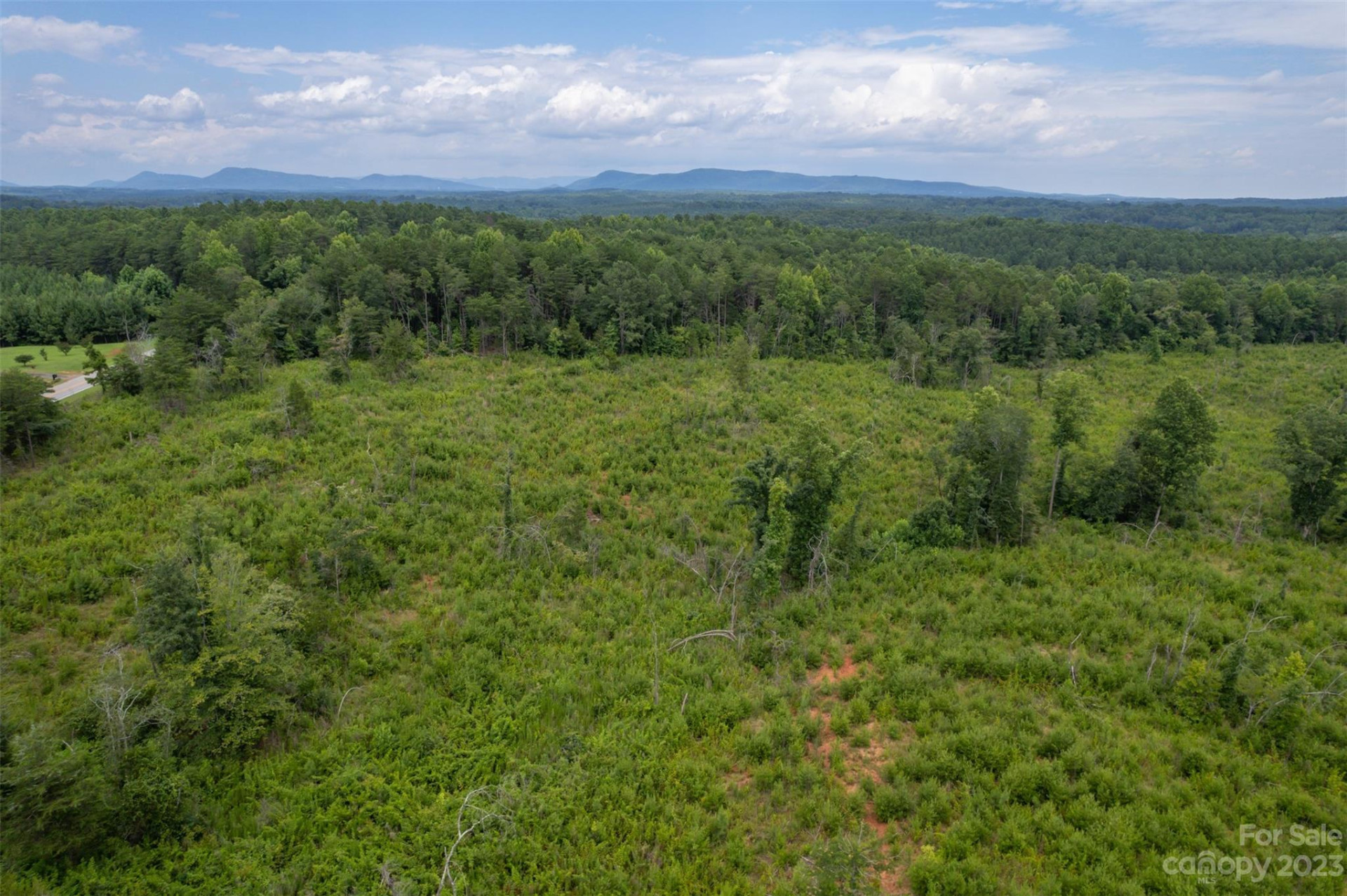 00 Horn Bottom Road - Photo 10