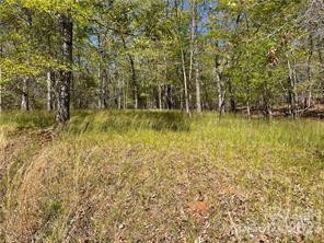 0000 Zackary Lane #37 - Photo 2