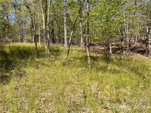 0000 Zackary Lane #37 - Photo 3