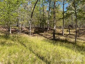 0000 Zackary Lane #37 - Photo 4