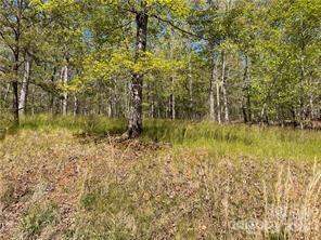 0000 Zackary Lane #37 - Photo 5