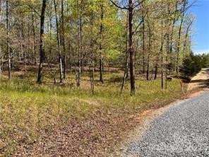 0000 Zackary Lane #37 - Photo 6