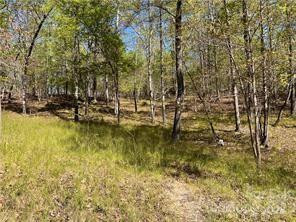 0000 Zackary Lane #37 - Photo 7