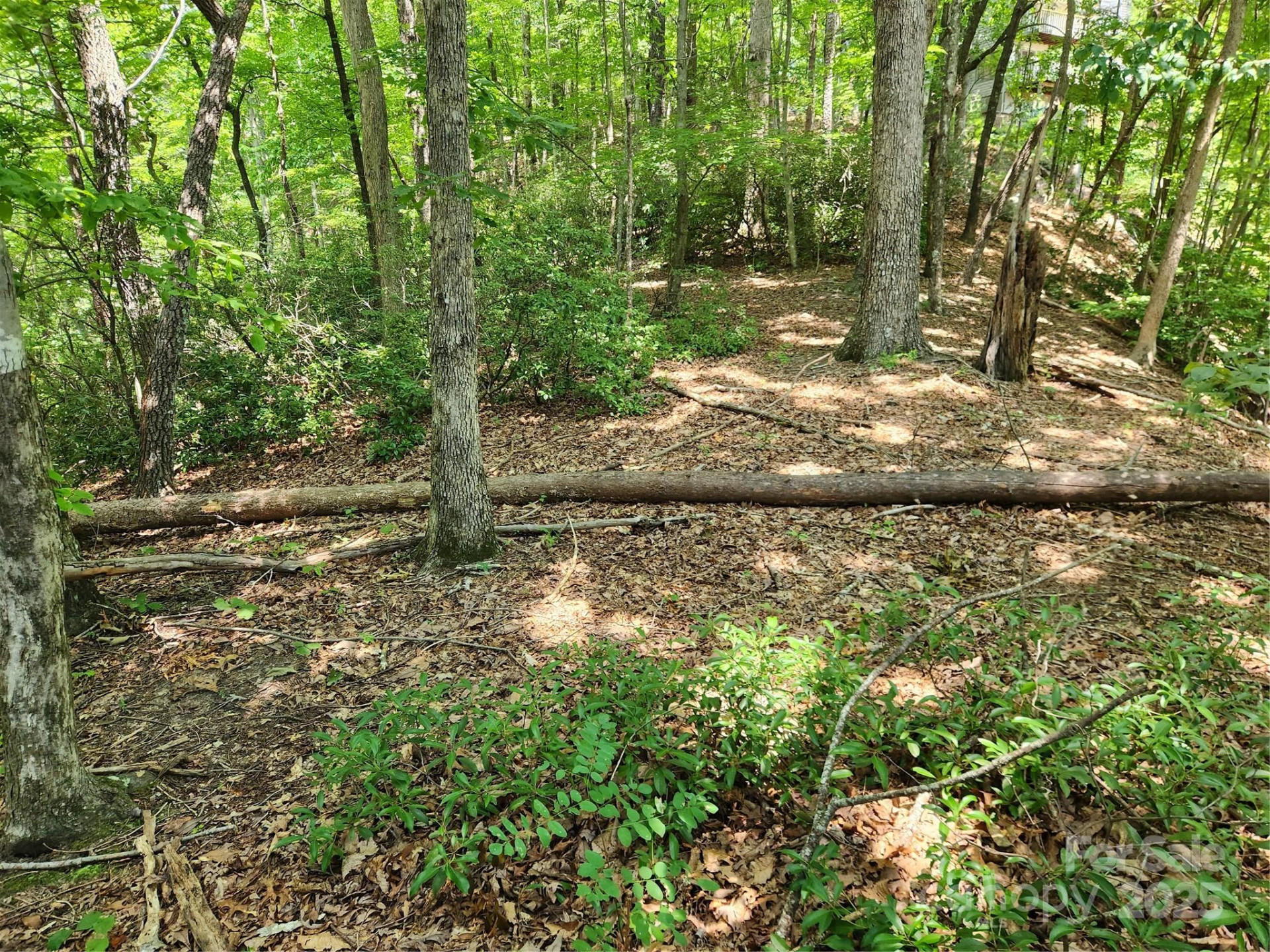 Lot 124, 125, & 101 Banjo Court