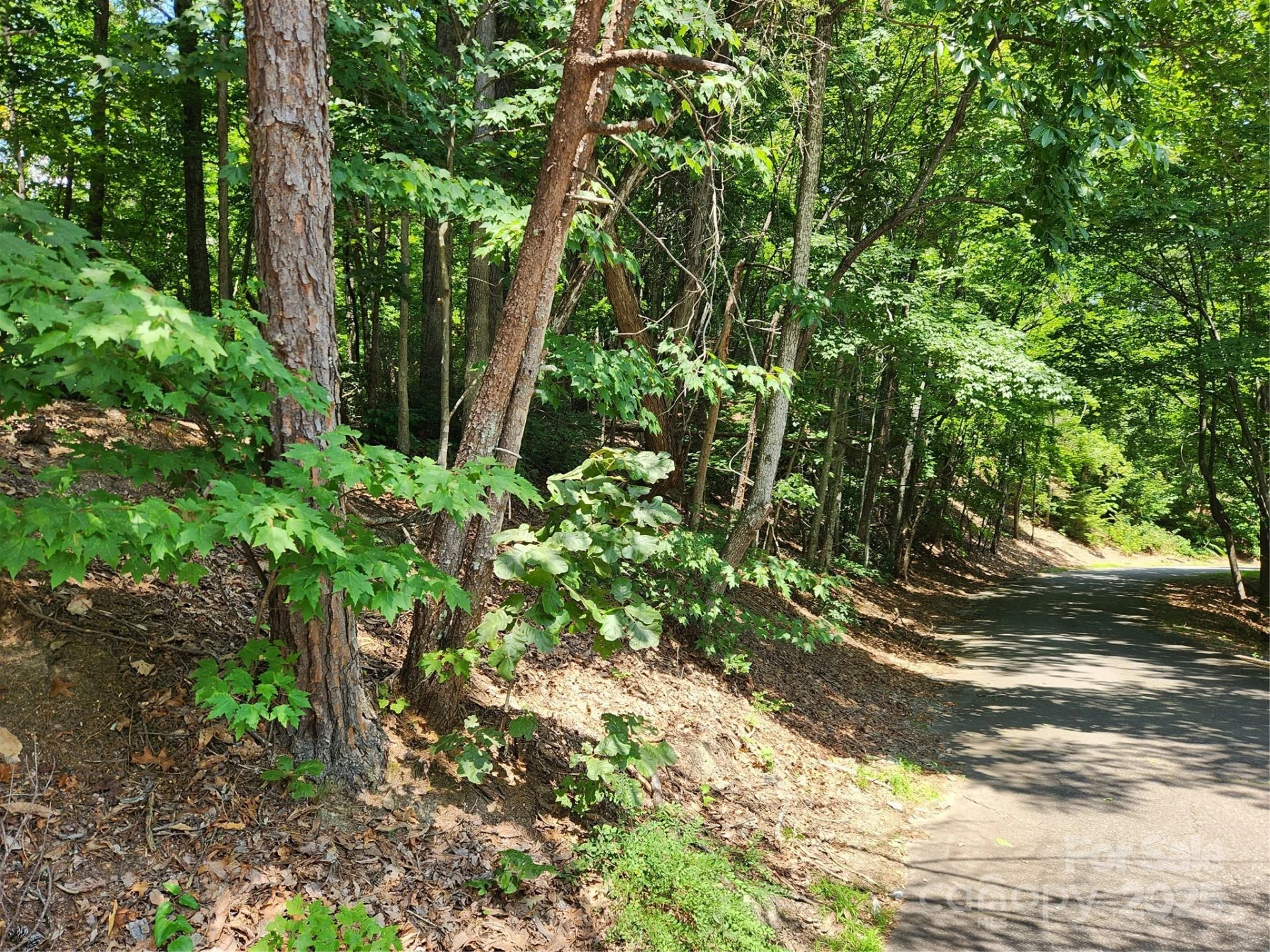 Lot 124, 125, & 101 Banjo Court - Photo 2