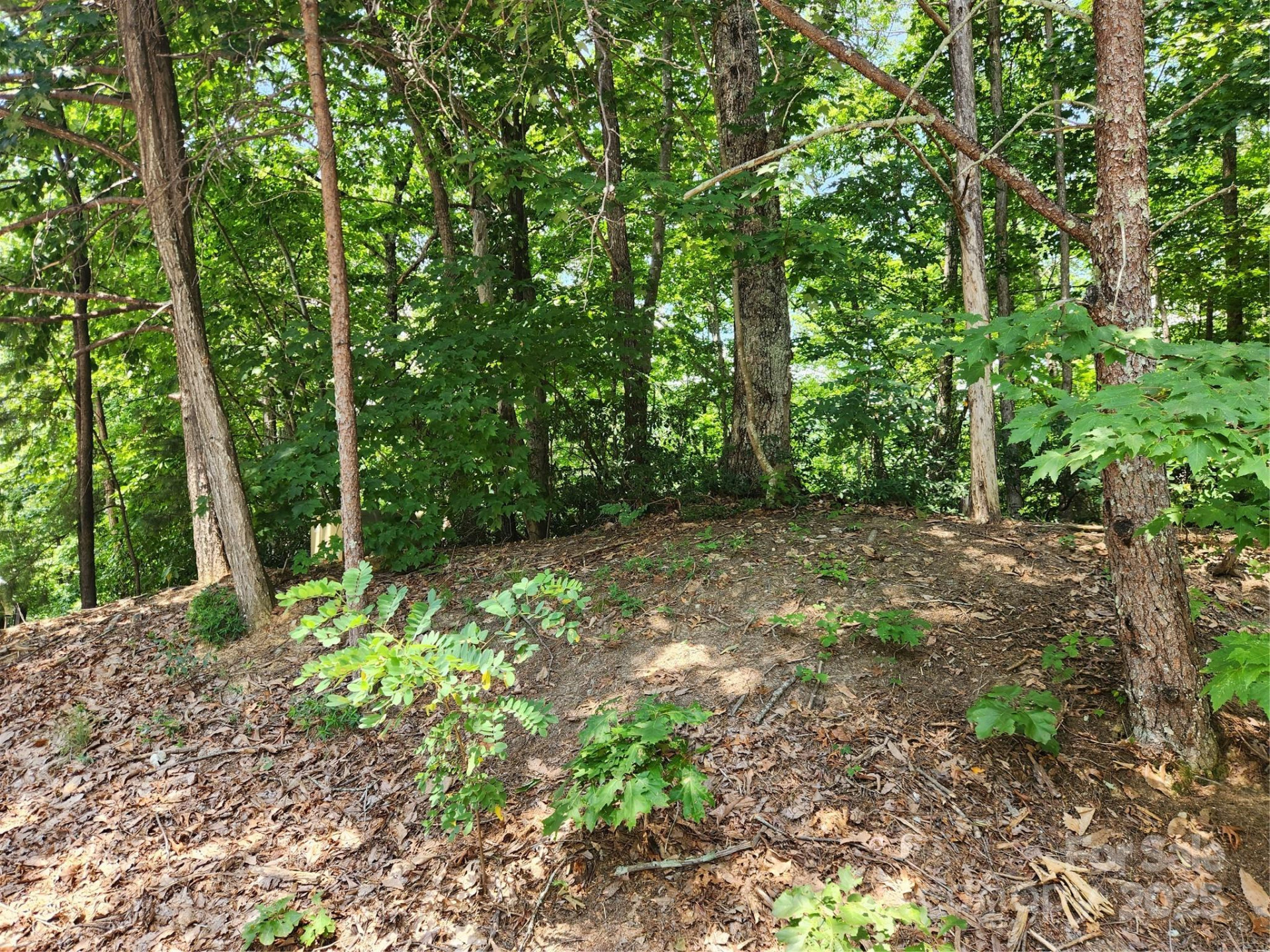 Lot 124, 125, & 101 Banjo Court - Photo 3