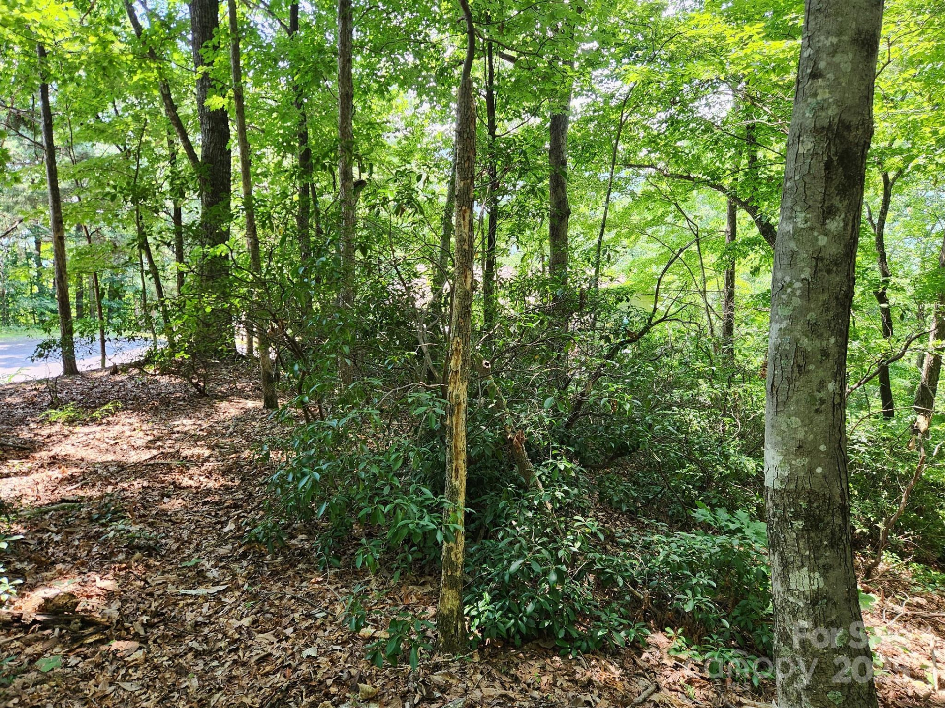 Lot 124, 125, & 101 Banjo Court - Photo 5