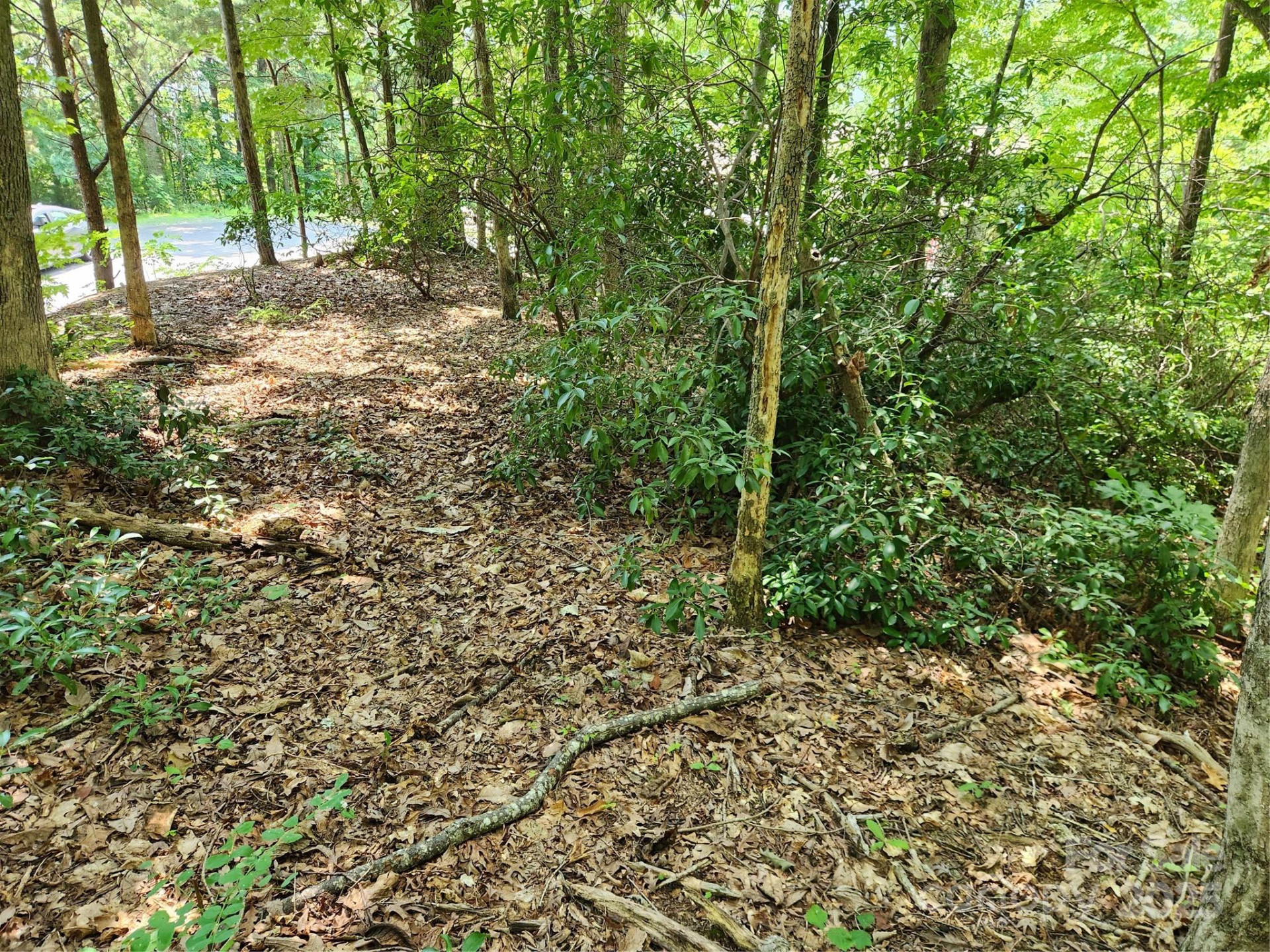 Lot 124, 125, & 101 Banjo Court - Photo 6