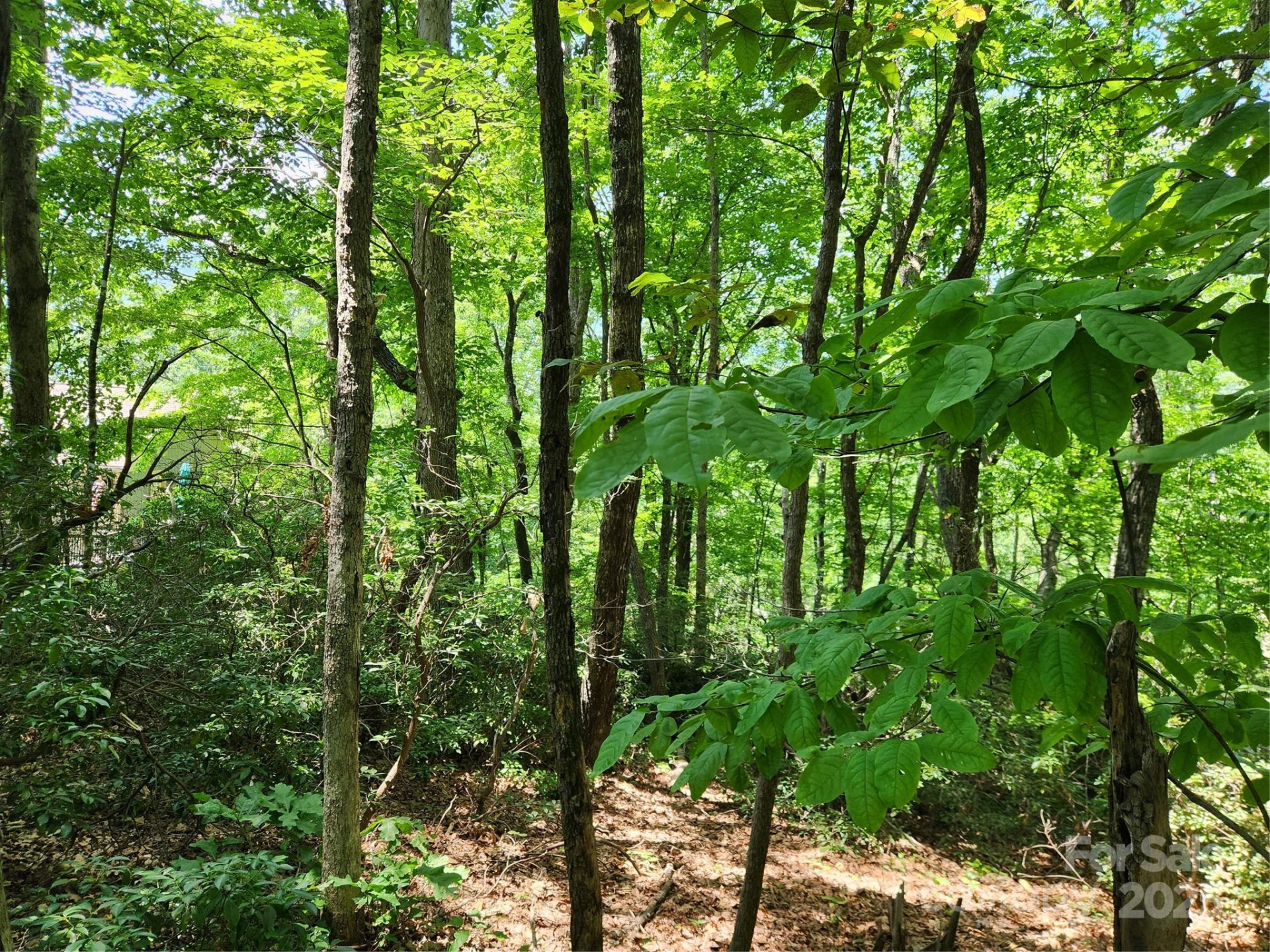 Lot 124, 125, & 101 Banjo Court - Photo 7