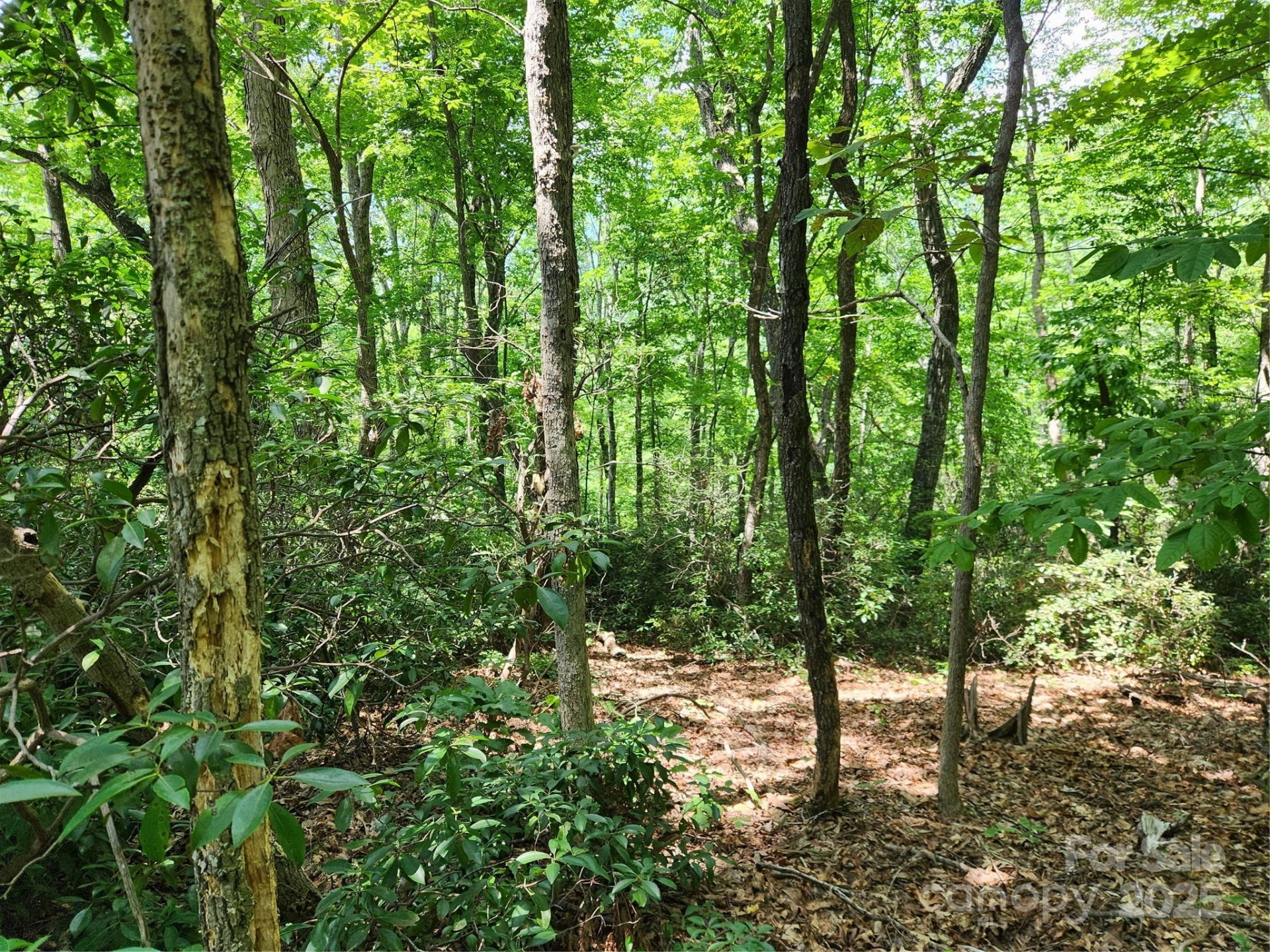 Lot 124, 125, & 101 Banjo Court - Photo 9