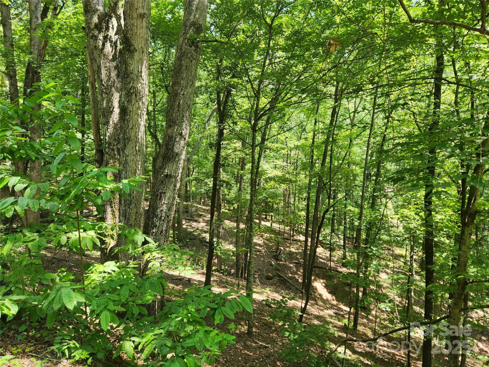 Lot 81, 82, & 88 Walnut Lane