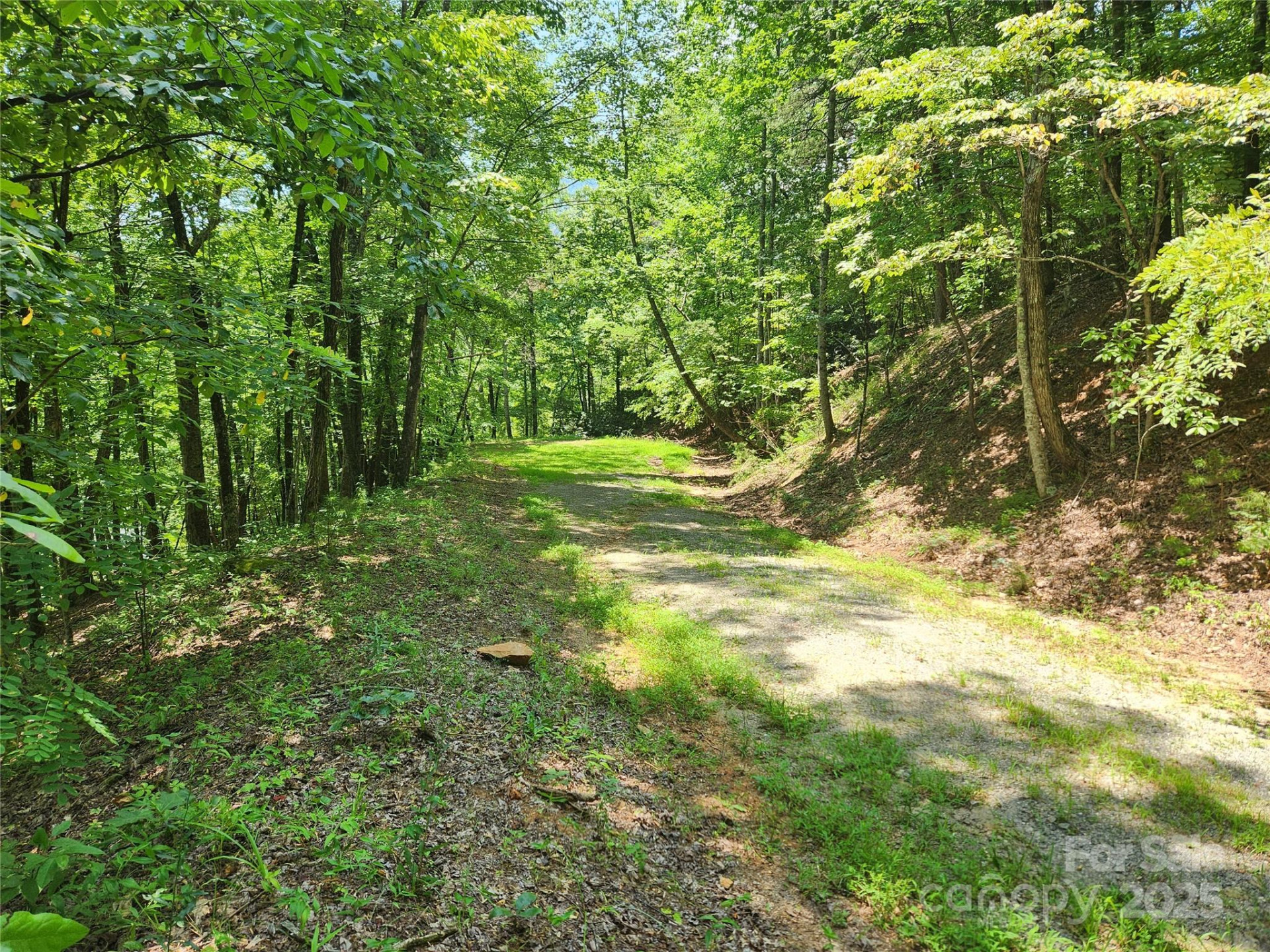 Lot 81, 82, & 88 Walnut Lane - Photo 3