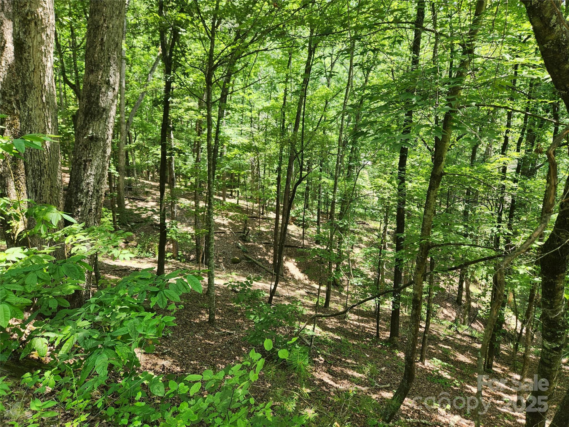 Lot 81, 82, & 88 Walnut Lane - Photo 5