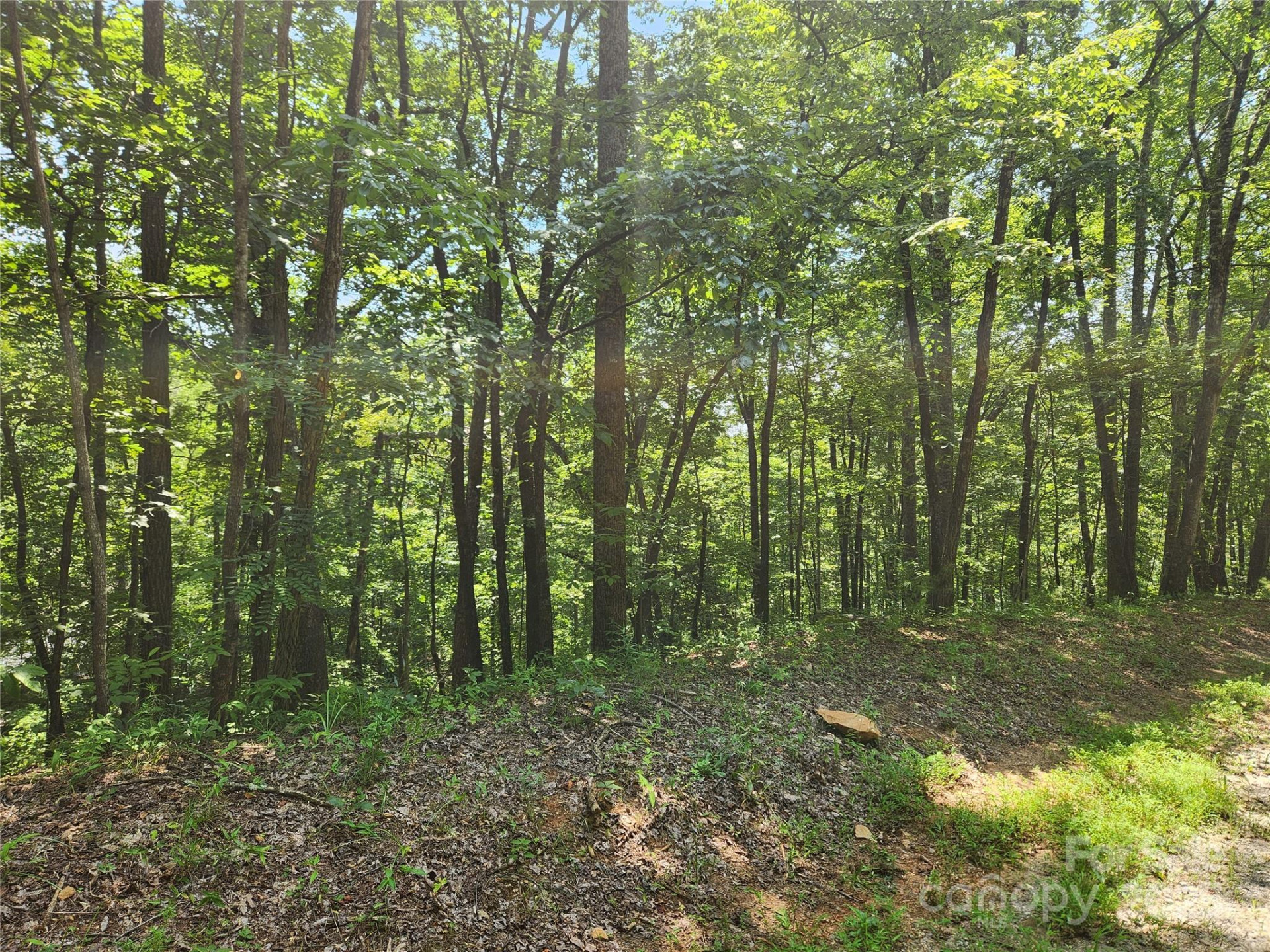 Lot 81, 82, & 88 Walnut Lane - Photo 6