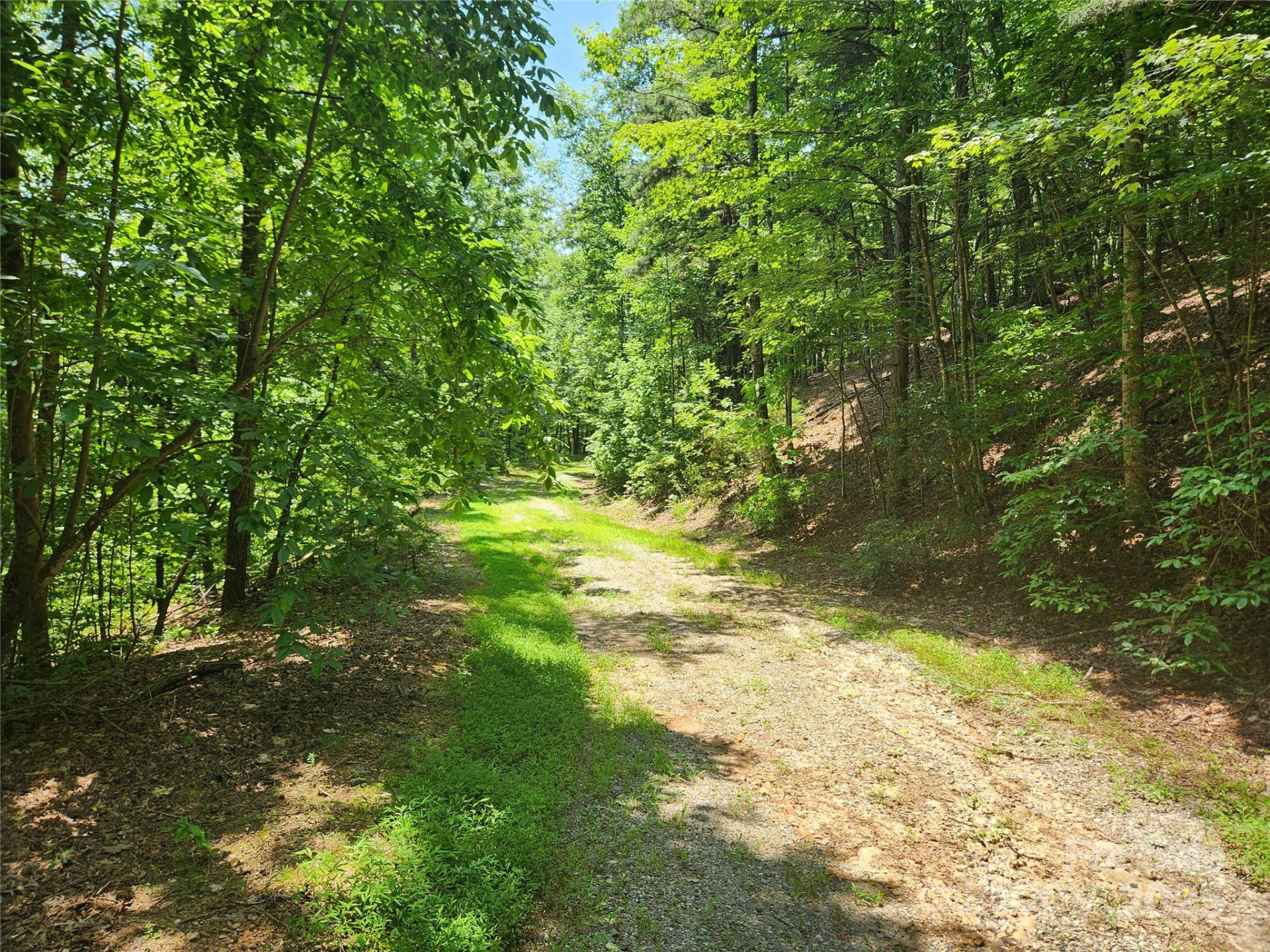 Lot 81, 82, & 88 Walnut Lane - Photo 7