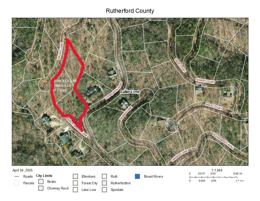 Lot 81, 82, & 88 Walnut Lane - Photo 8