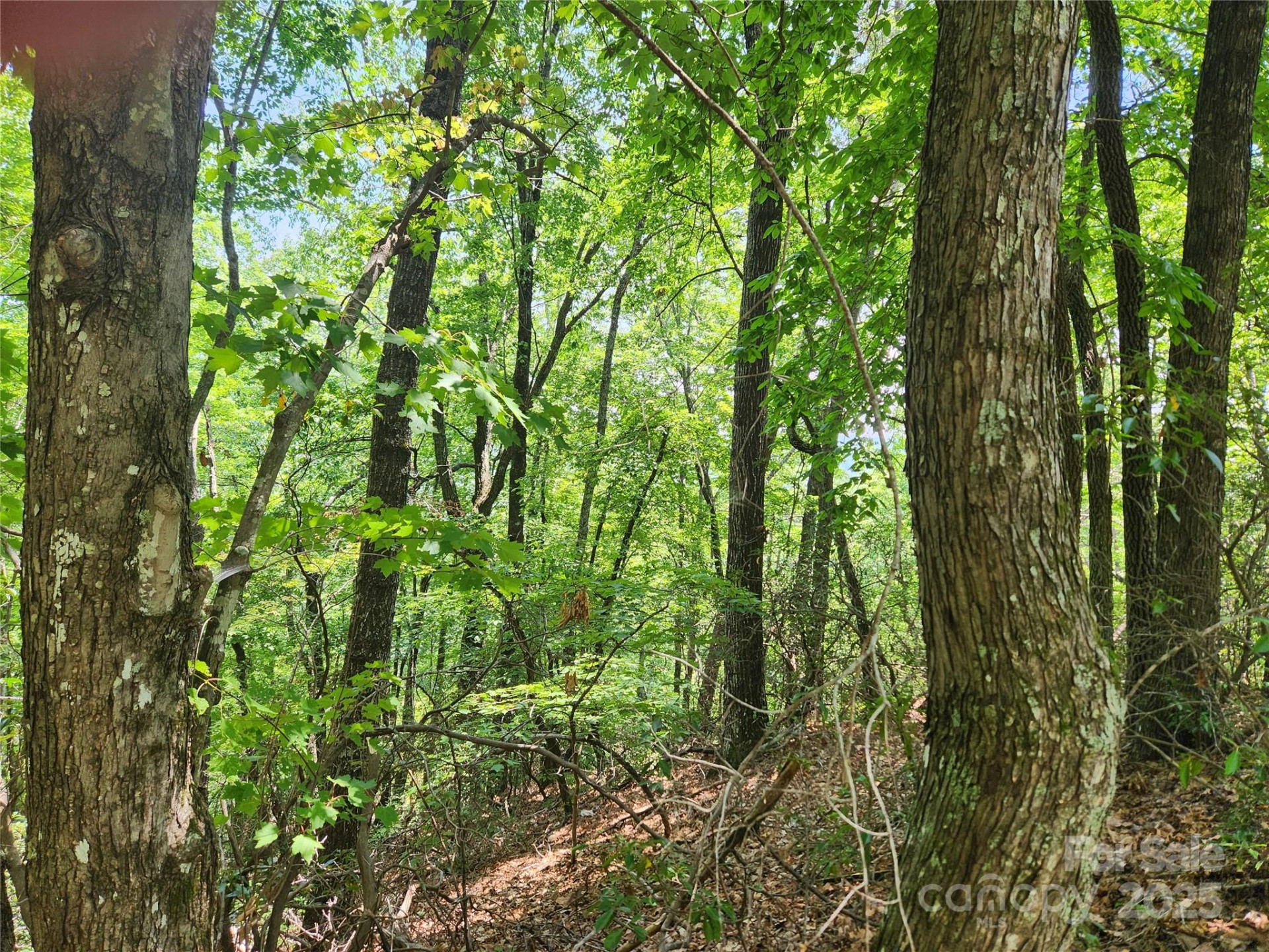 Lot 117, 118, & 132 Summit Court