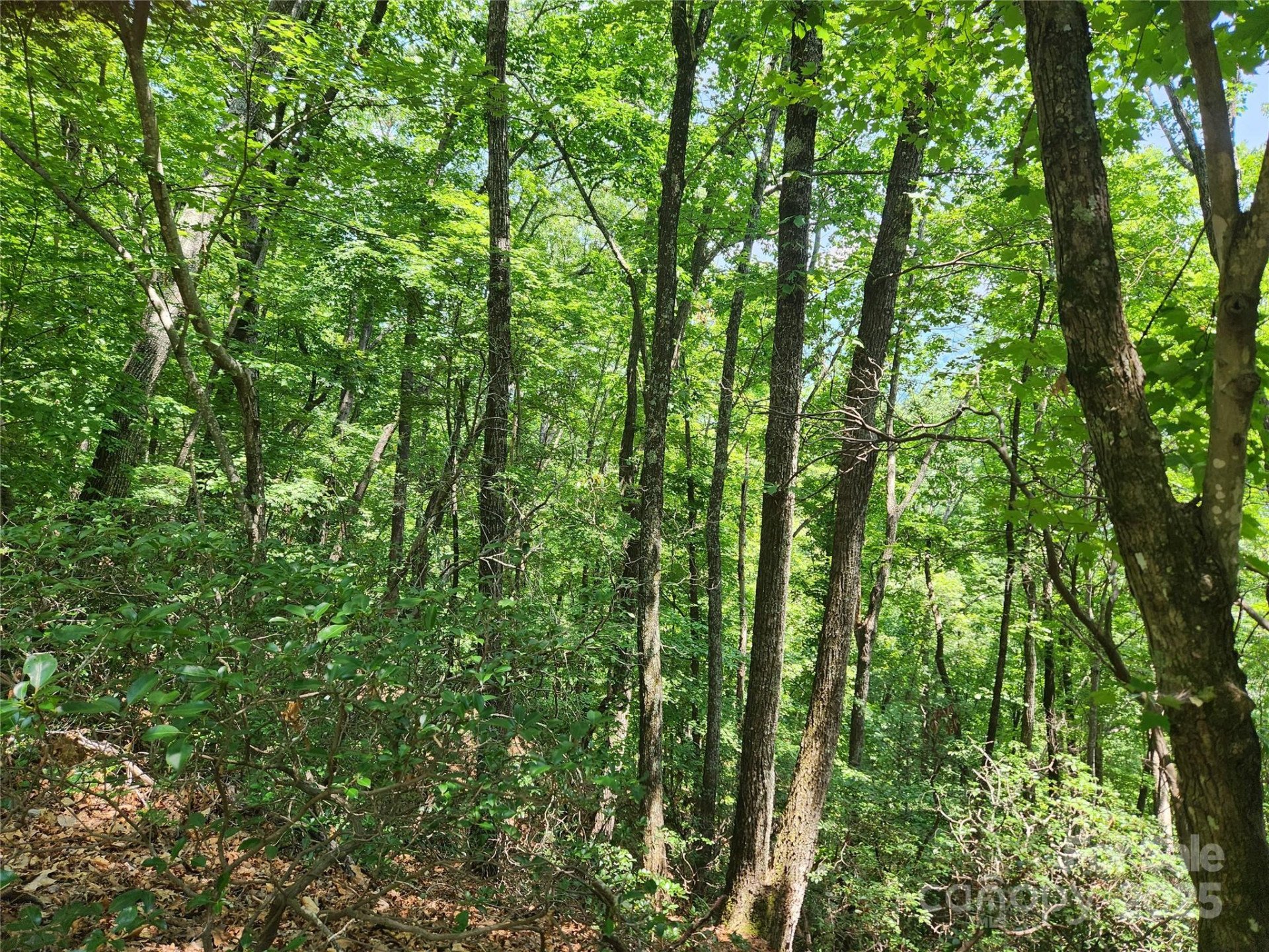 Lot 117, 118, & 132 Summit Court - Photo 2