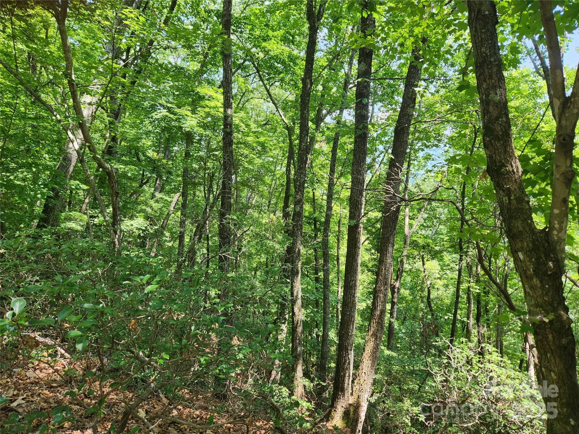 Lot 117, 118, & 132 Summit Court - Photo 2