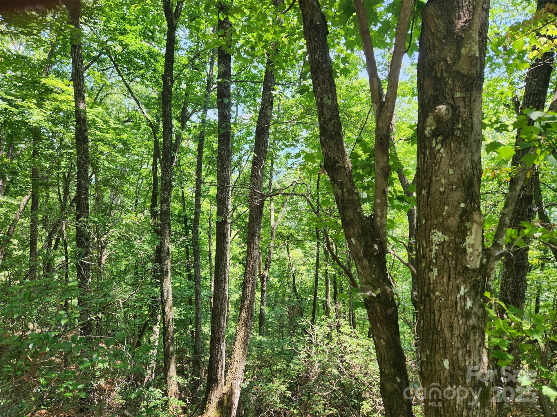 Lot 117, 118, & 132 Summit Court - Photo 4