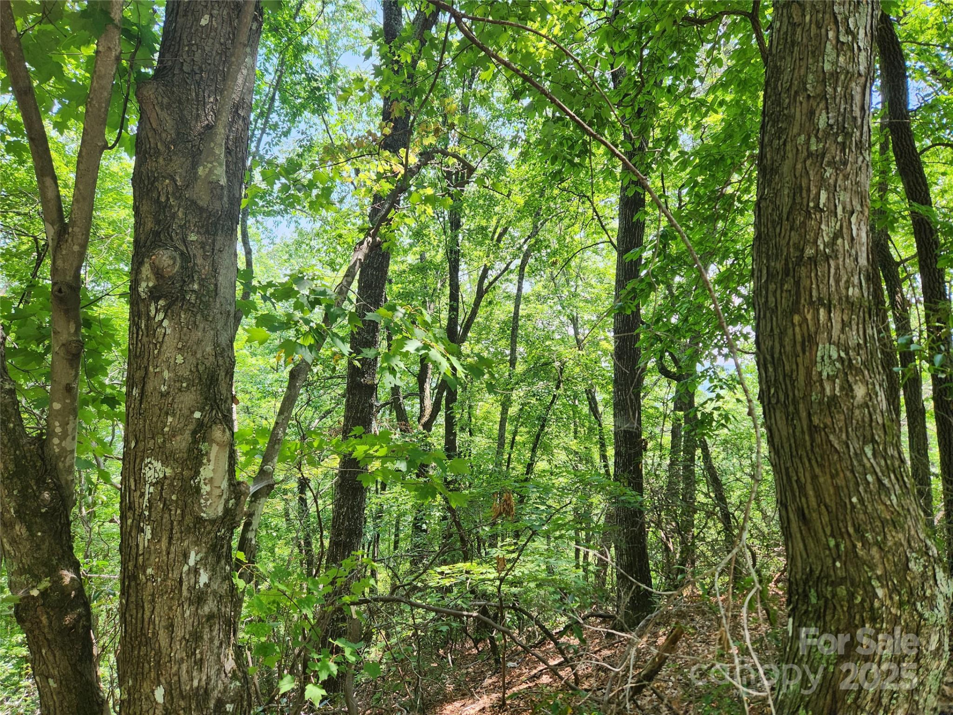 Lot 117, 118, & 132 Summit Court - Photo 5