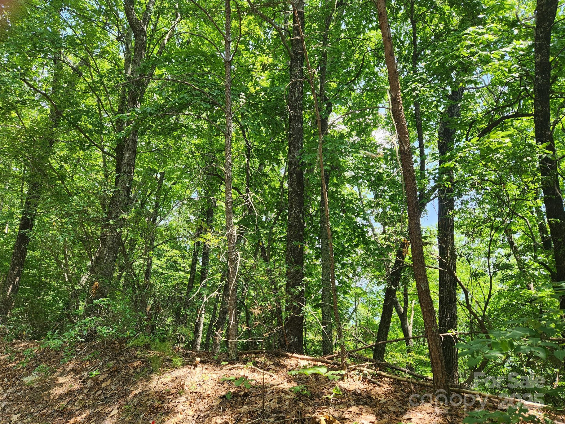 Lot 117, 118, & 132 Summit Court - Photo 6