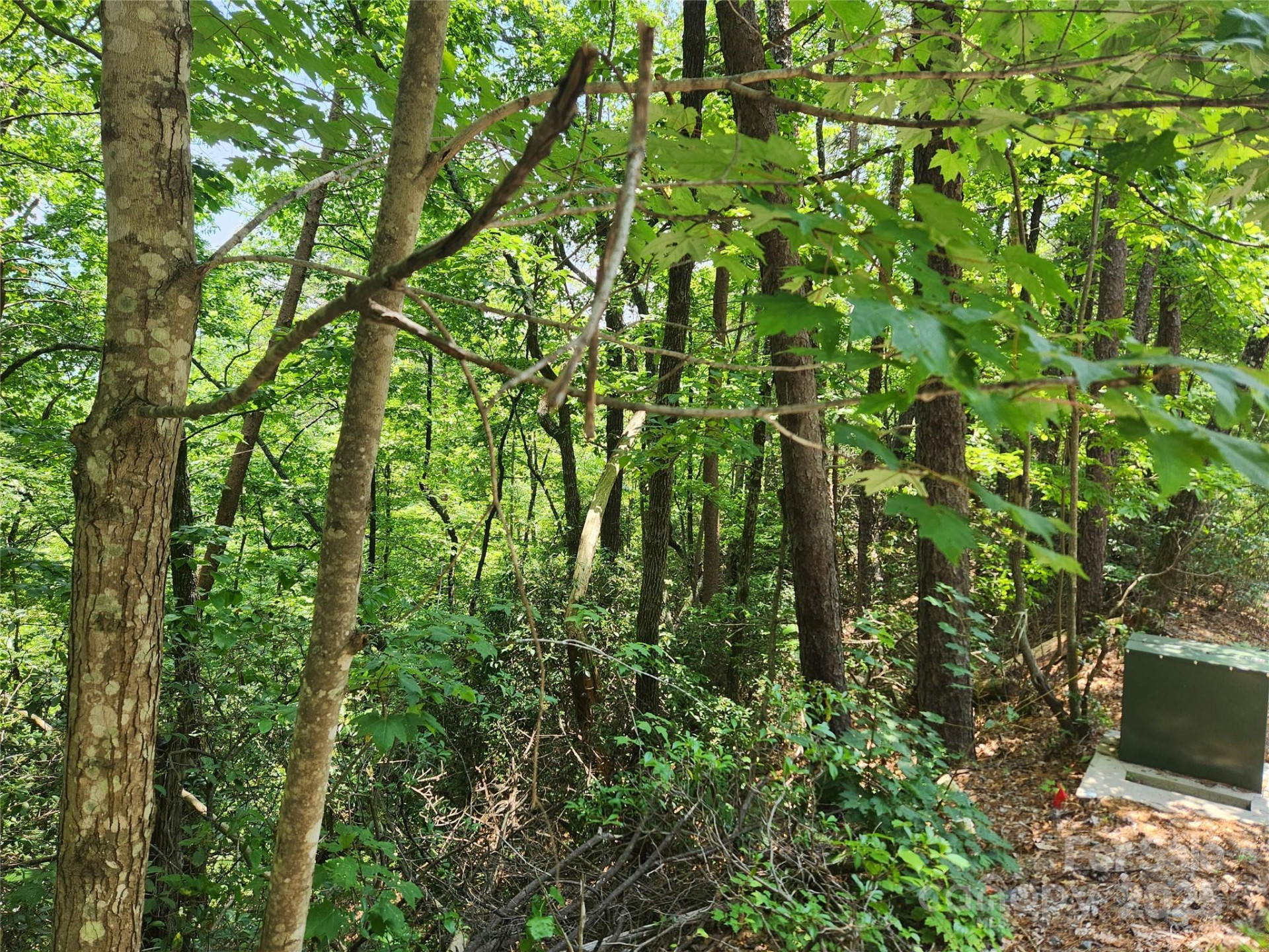 Lot 117, 118, & 132 Summit Court - Photo 7