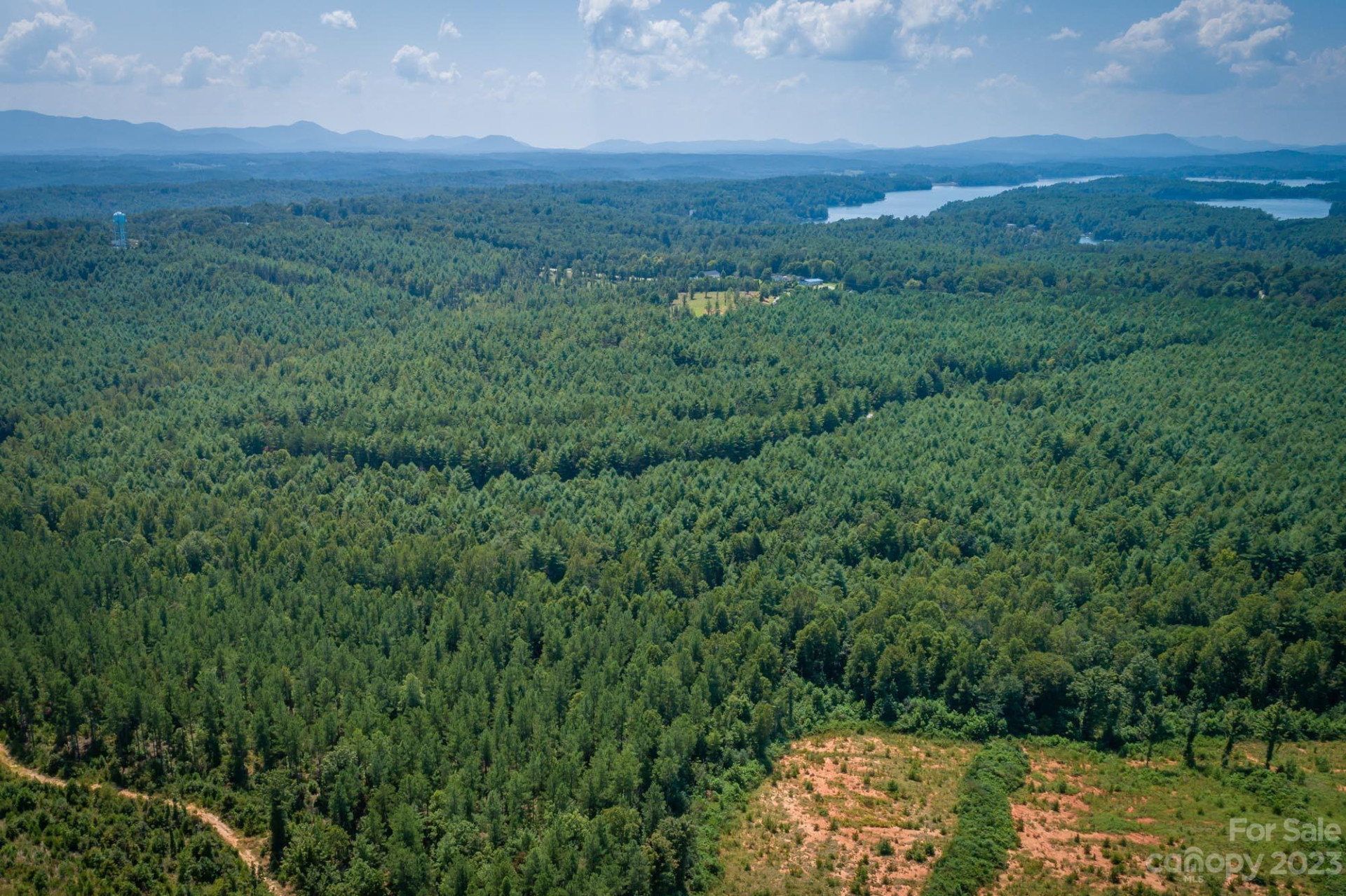 1077 Greene Court #34 - Photo 3