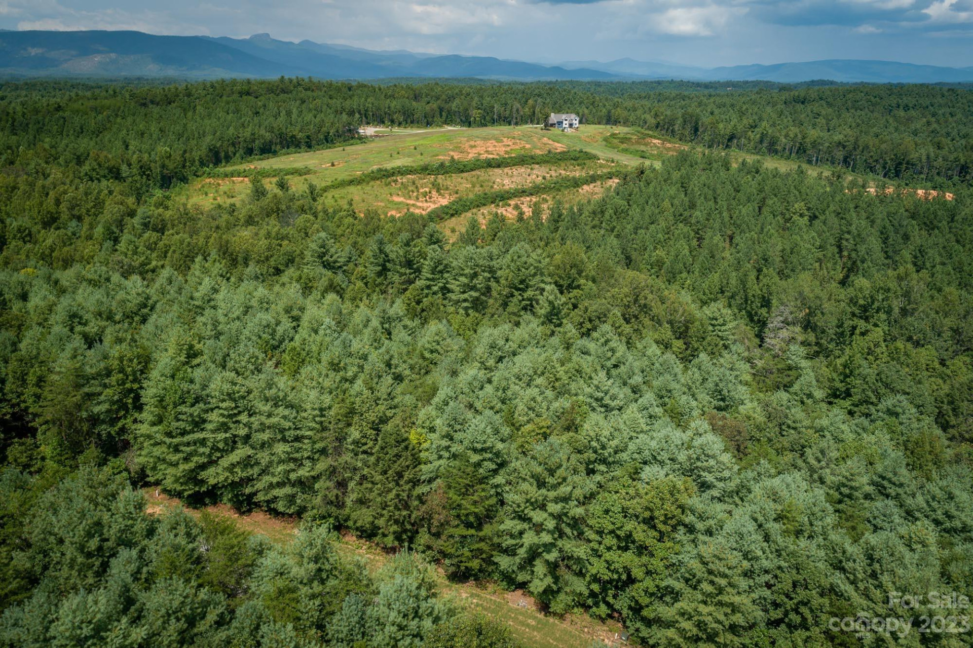 1077 Greene Court #34 - Photo 4